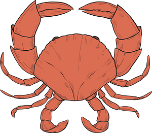 Krab