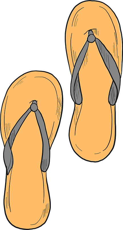 Flip Flops Free Vector Clipart Images On