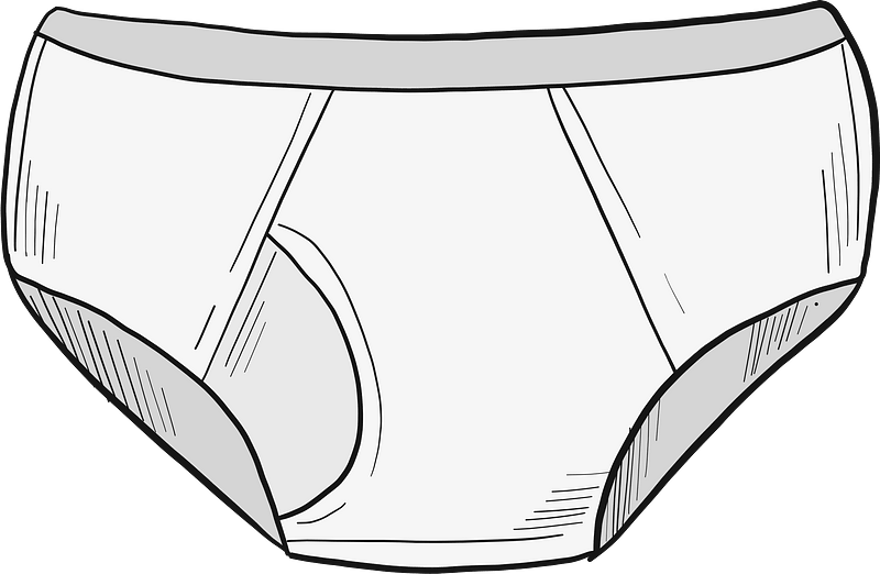 Briefs