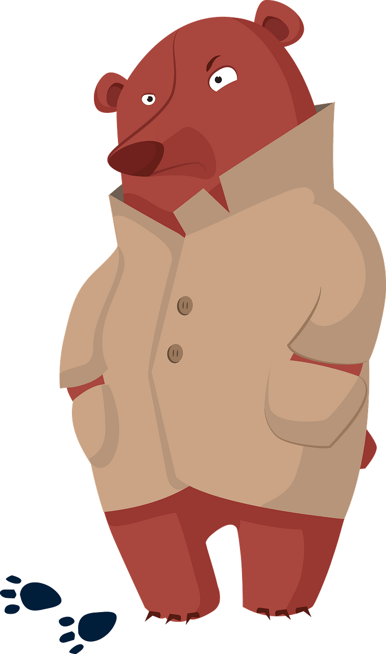 Bear detective
