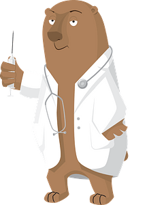 Bear doctor