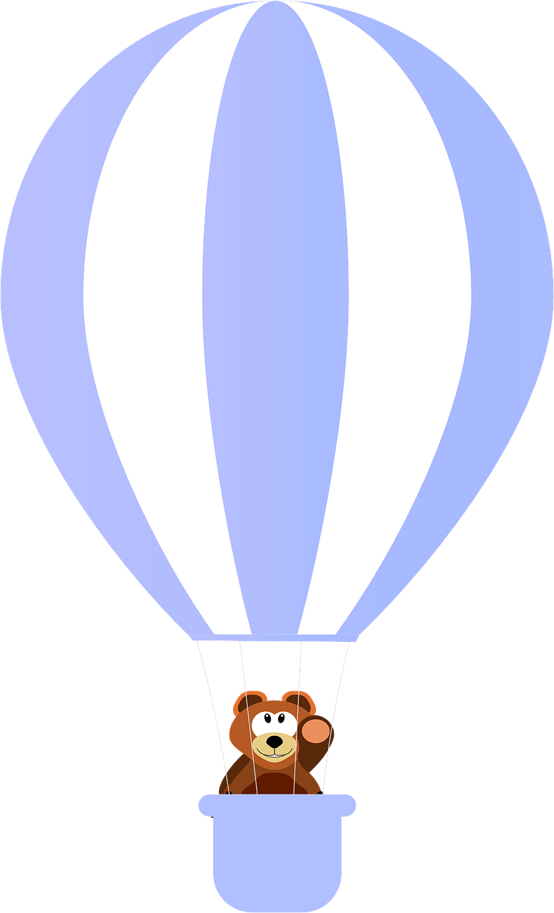 Bear on the air balloon