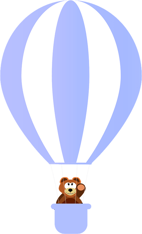 Bear on the air balloon
