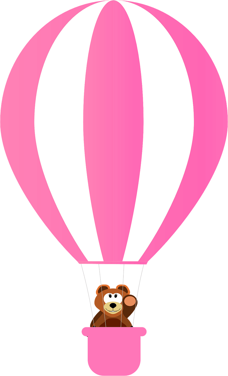 Bear on the air balloon