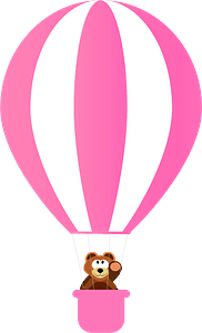 Bear on the air balloon