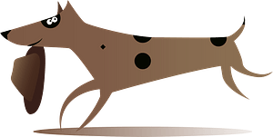Dog running with a hat