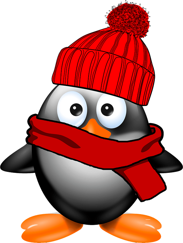 Penguin in hat and scarf