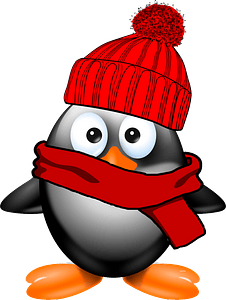 Penguin in hat and scarf
