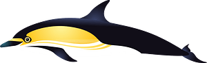 Dolphin