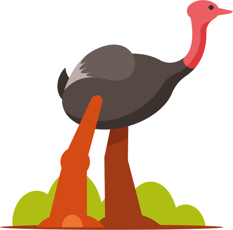 Ostrich