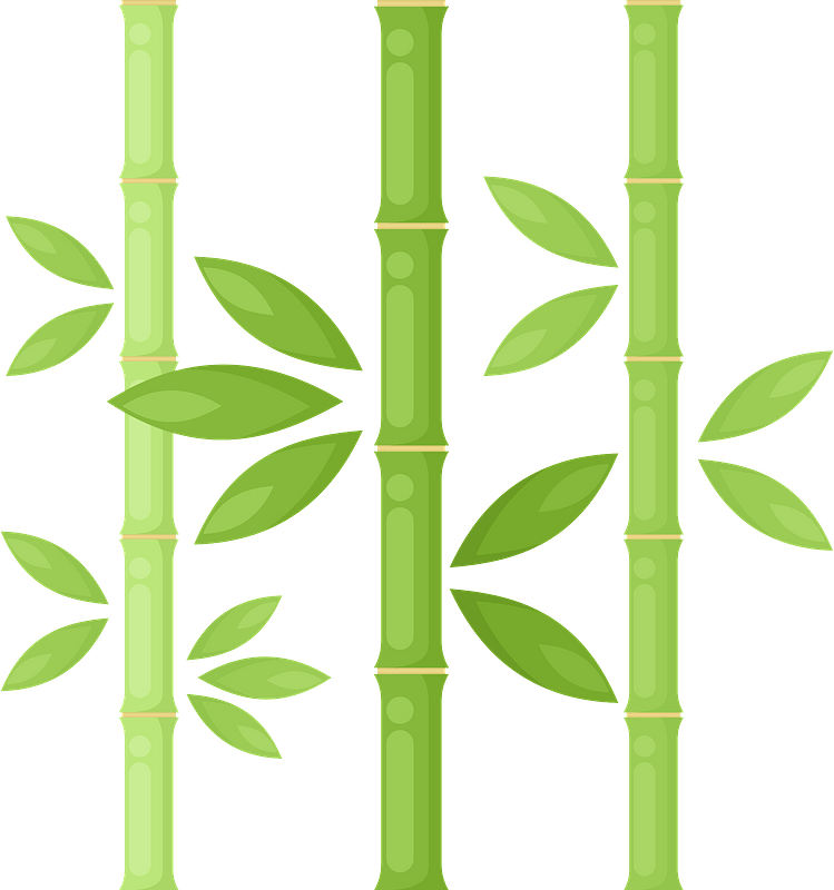 Bamboo