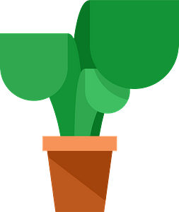 Green plant in pot