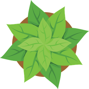 Plant pot top view