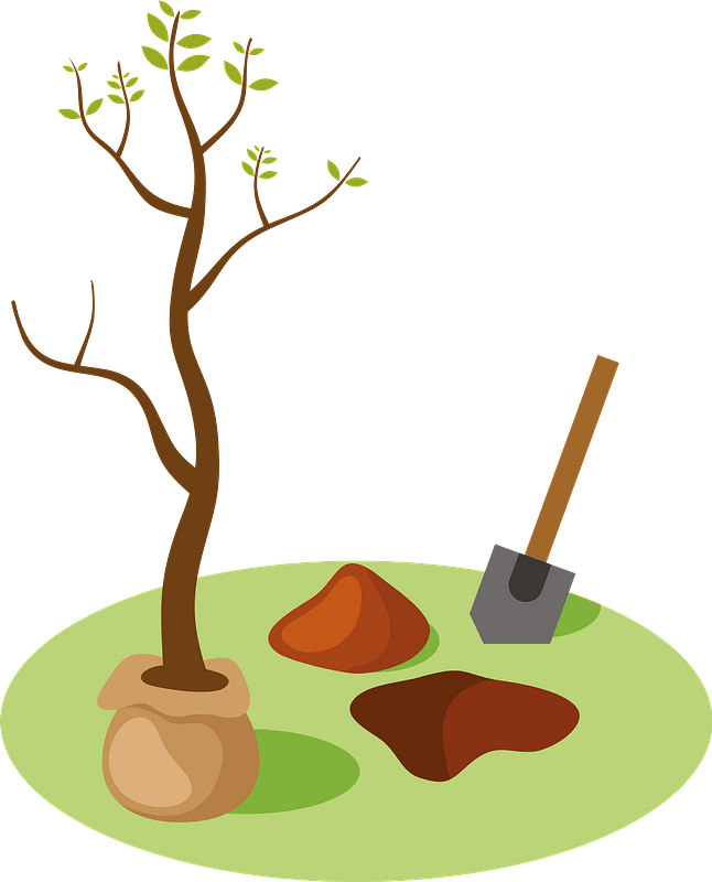 Planting tree