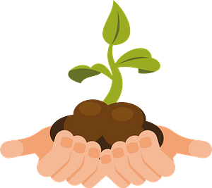 Young plant in hand