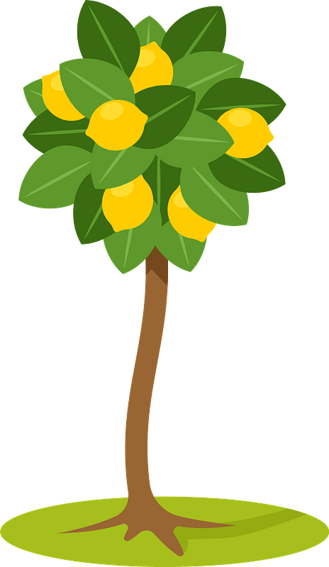Lemon tree vector pdv