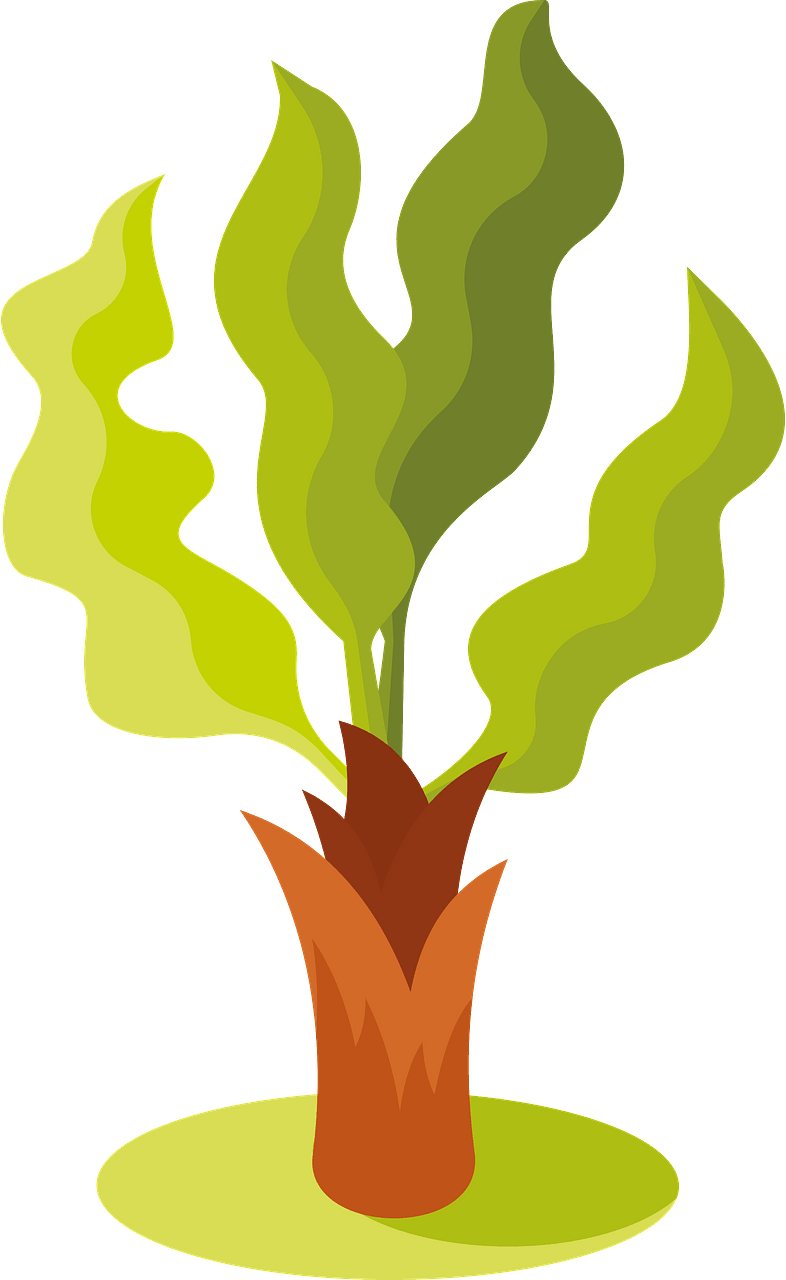 Small palm tree