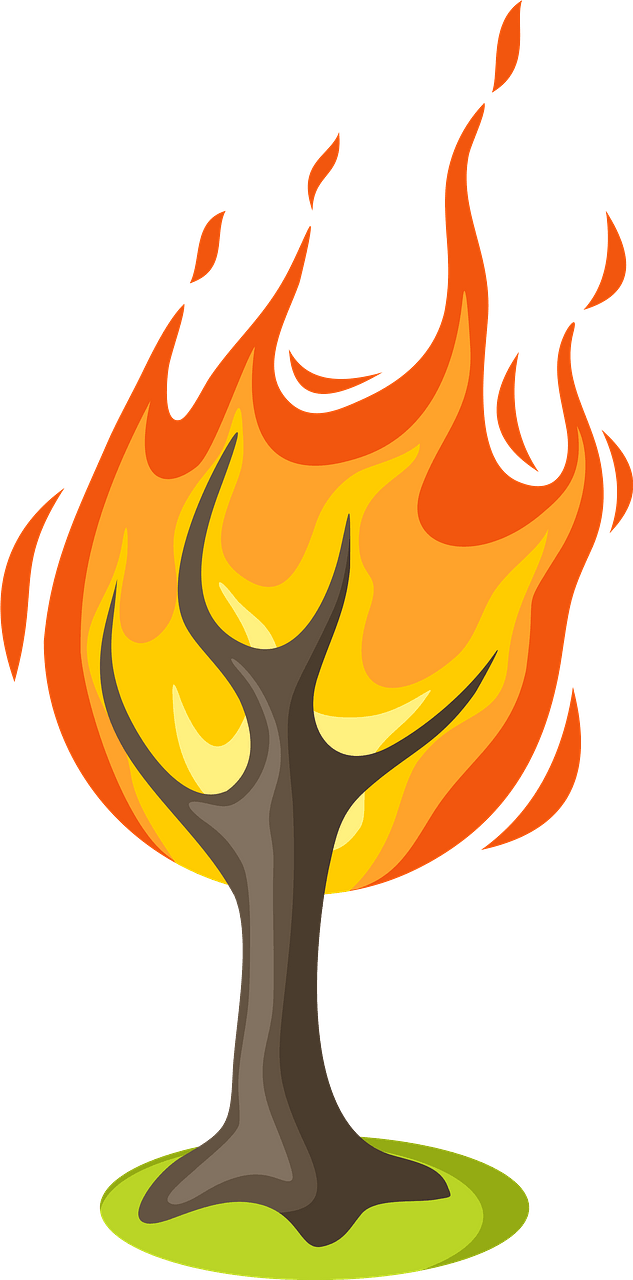 Burning Tree