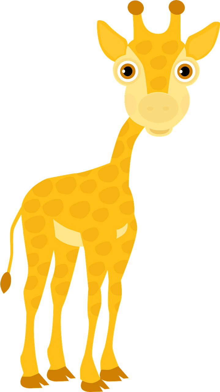 Little giraffe