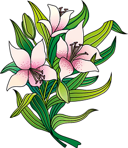 Lilies