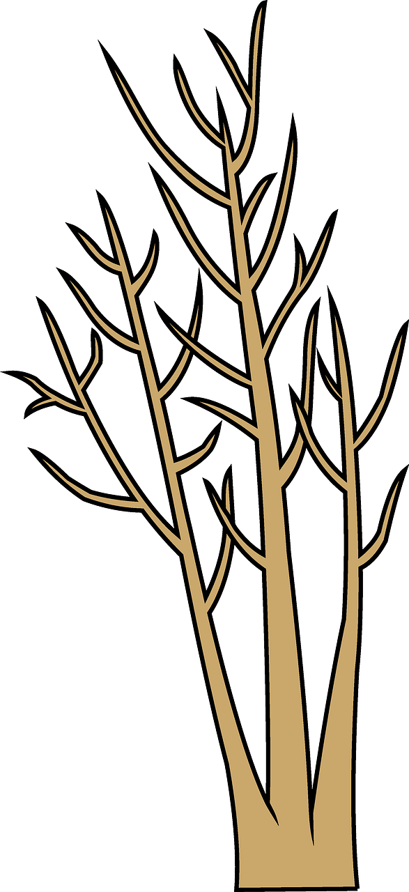 Albero invernale