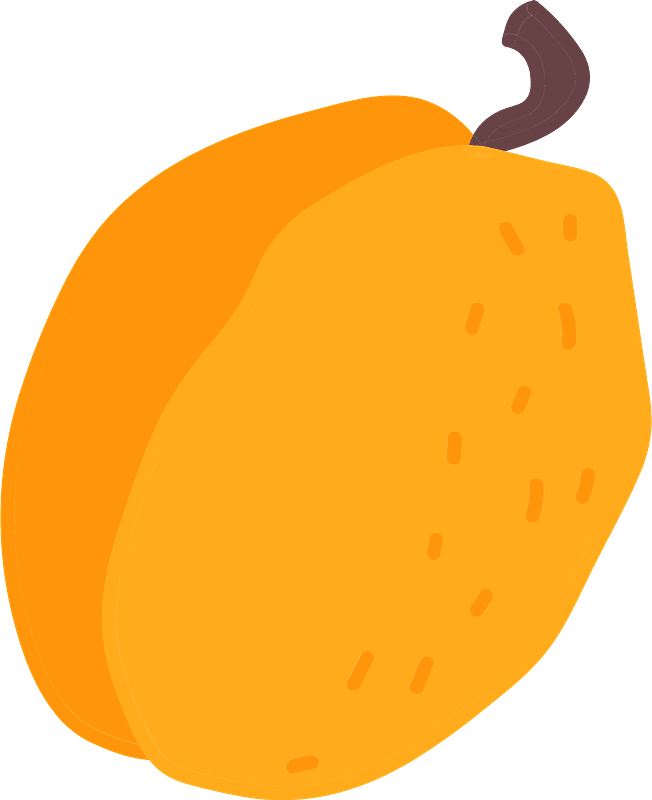 Apricot