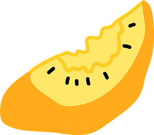 Fruit slice