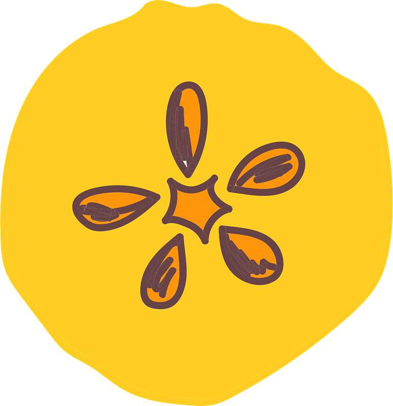 Slice of fruit