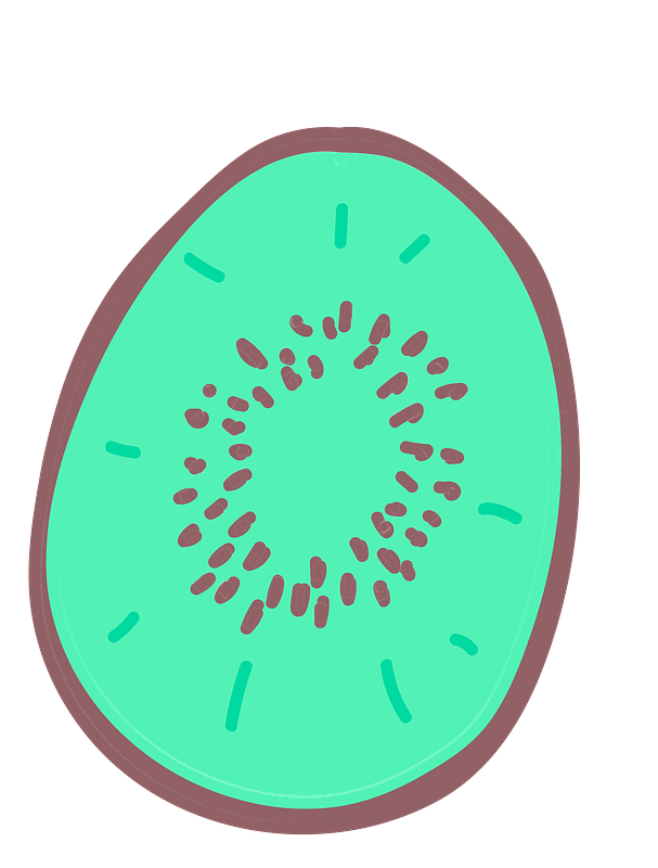Half kiwi