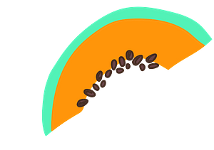 Papaya slice