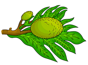 Breadfruit with a Leaf