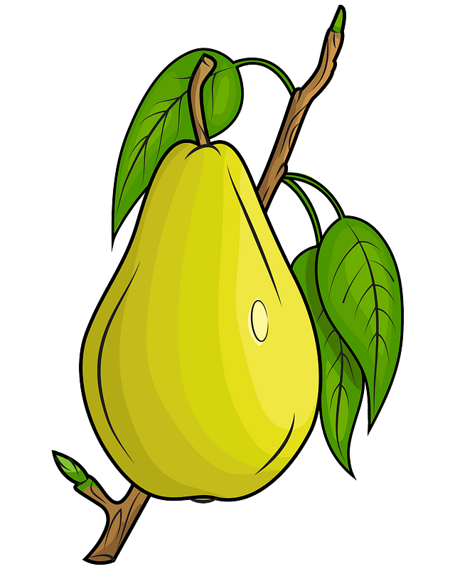 Pear on the Branch - Free vector clipart images on creazilla.com