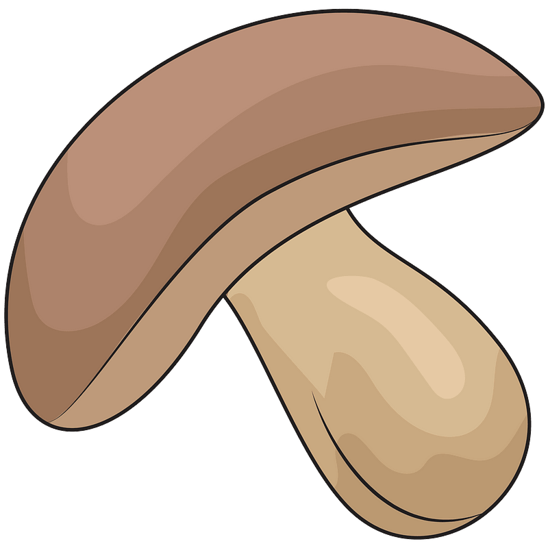 Huba