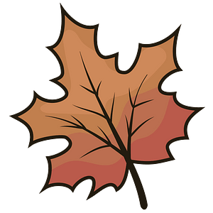 Red maple leaf