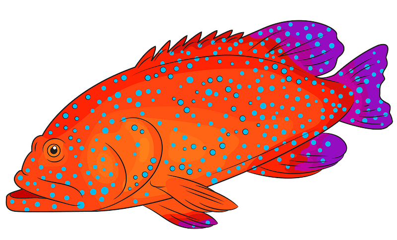 Blue Spotted Grouper - Free vector clipart images on creazilla.com