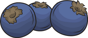 Blueberry