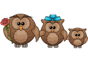 Three owls