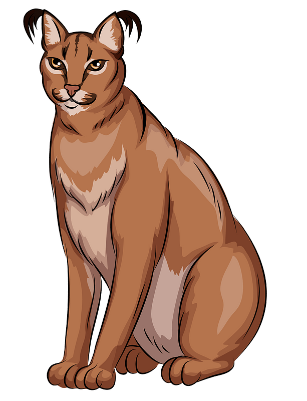 Caracal - Imágenes prediseñadas vectoriales gratuitas en creazilla.com