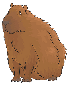 Capibara