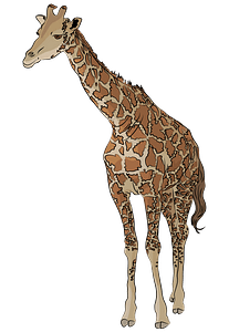 Girafa