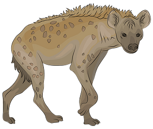 Gevlekte hyena