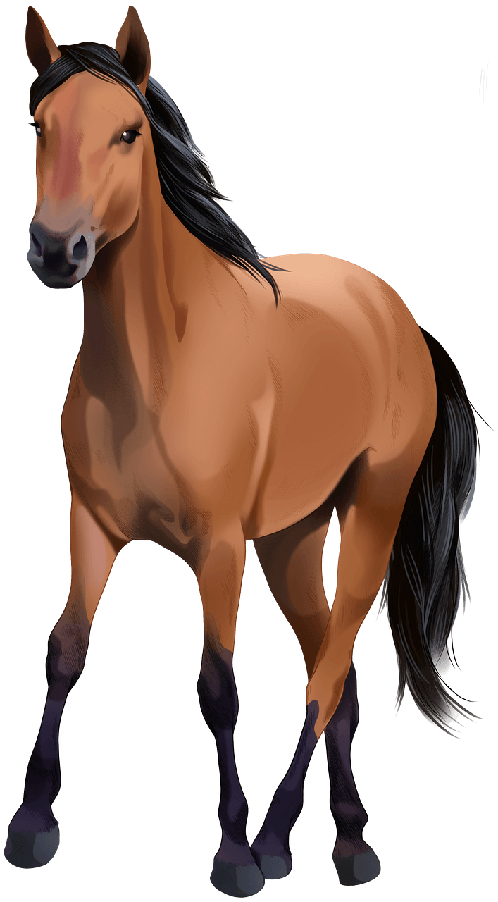 Kiger Mustang