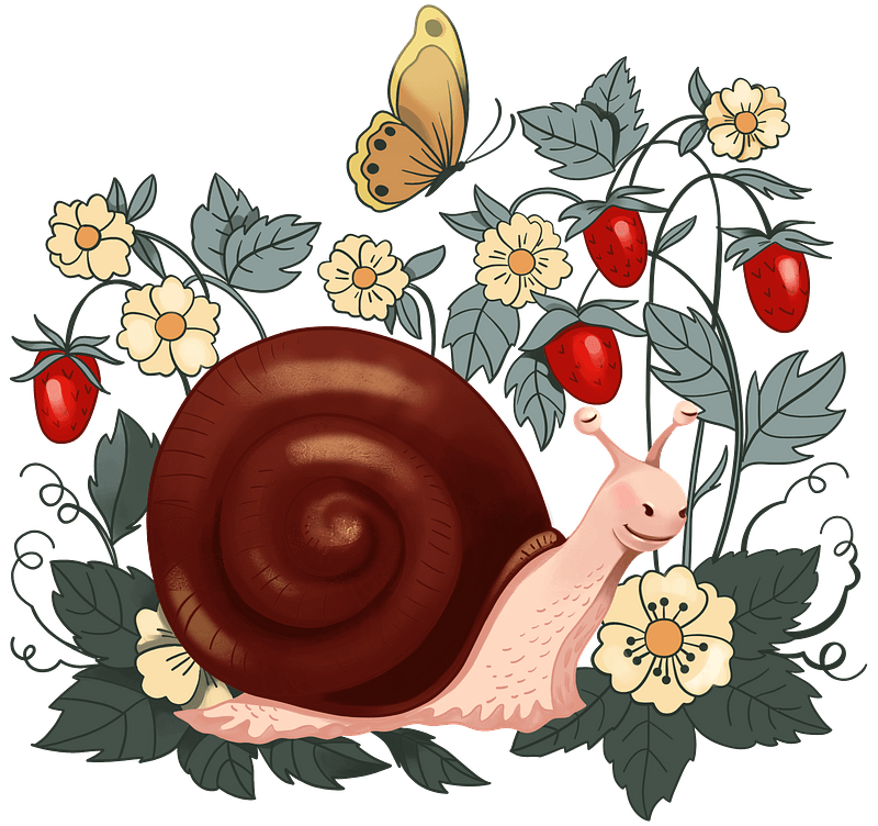 Snail and strawberry