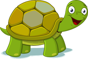 Smiling turtle