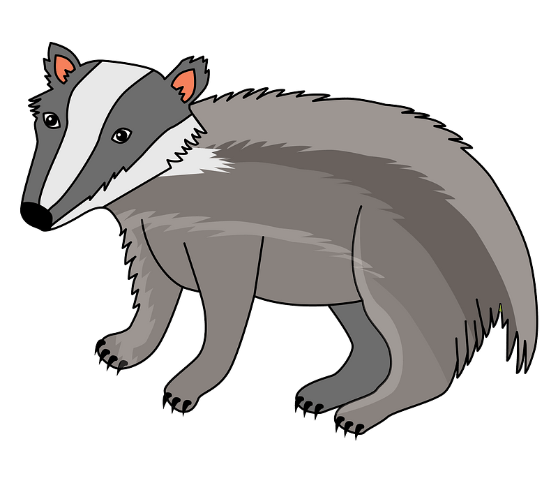 Badger