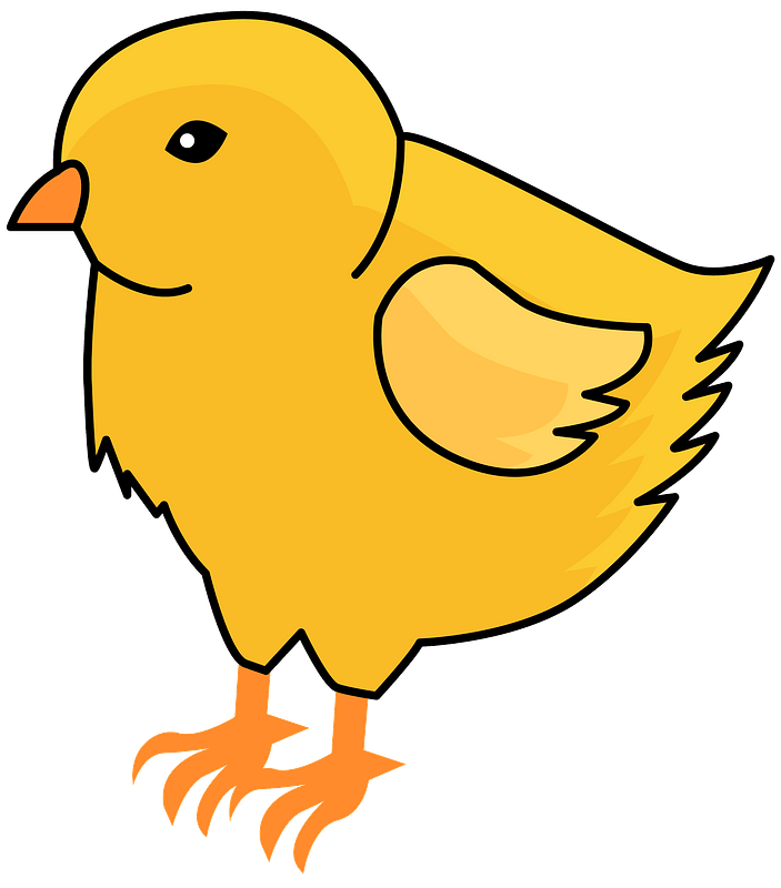 Chick
