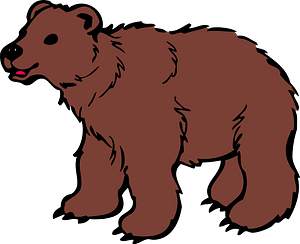 Brown bear