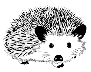 黑白刺猬
