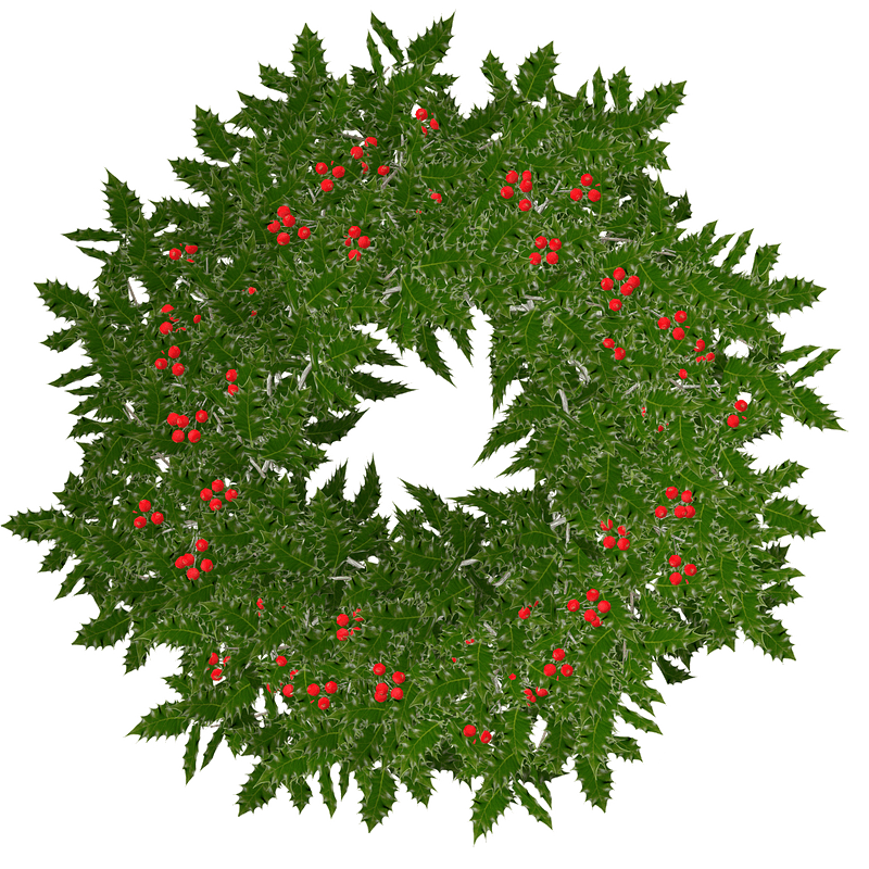 Christmas holly wreath
