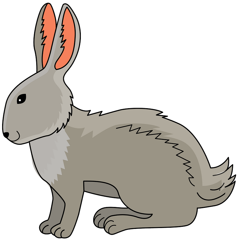 Kelinci